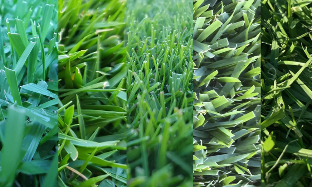 Natural vs. Artificial: Choosing the Right Grass for Your Football Turf